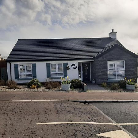 Bed and Breakfast Number 14 Downpatrick Exterior foto